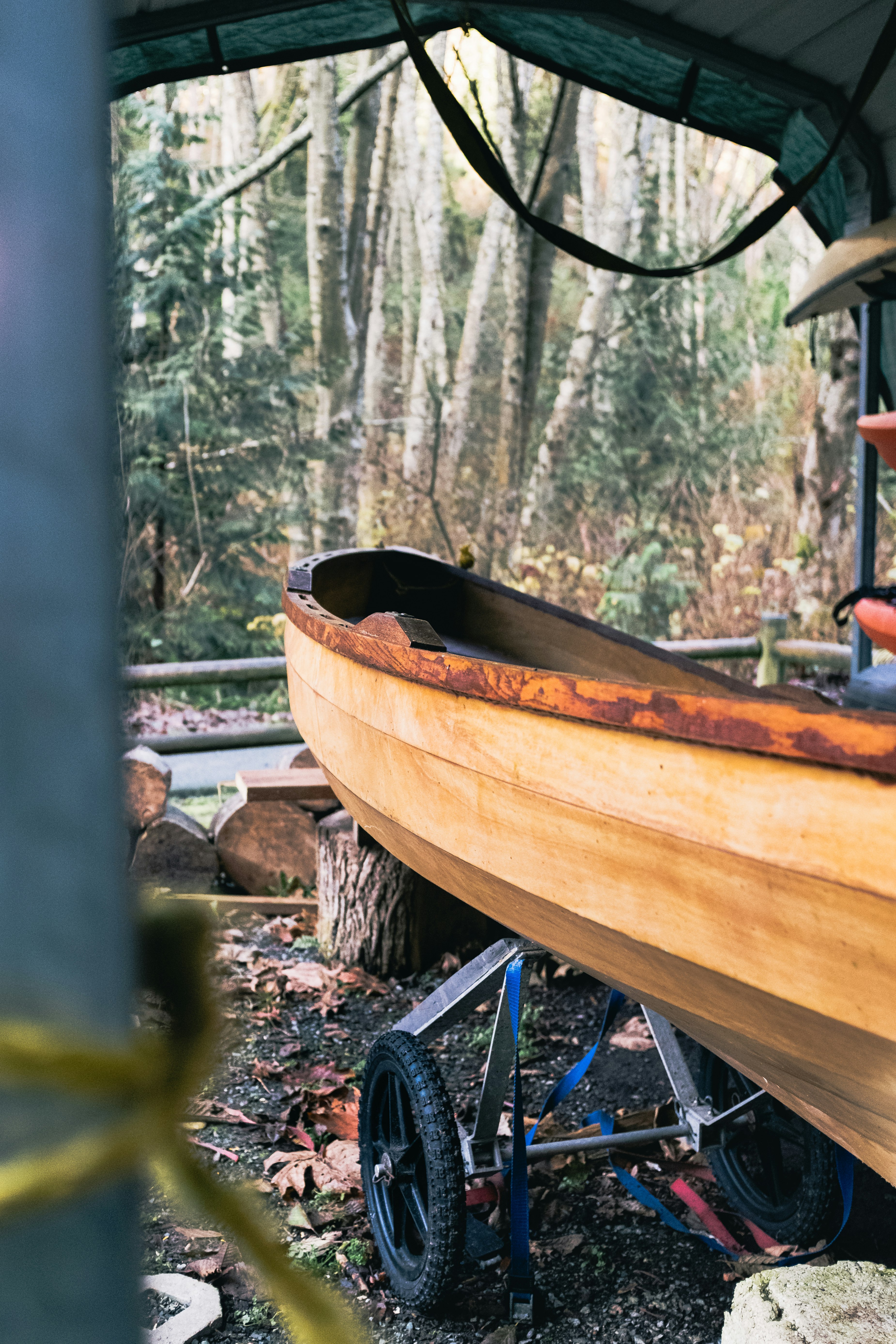 brown wooden boat on brown wooden log